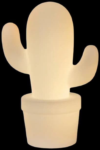 Lámpara cactus Outdoor y recargable