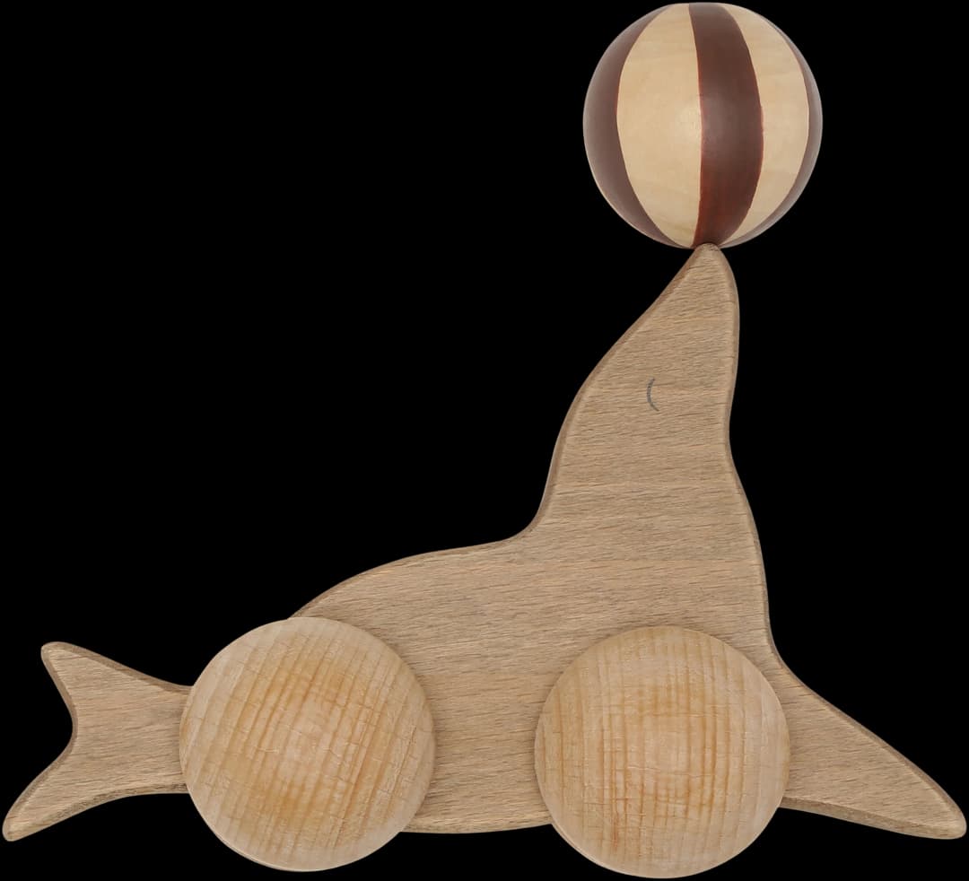 Rolling Sea Lion