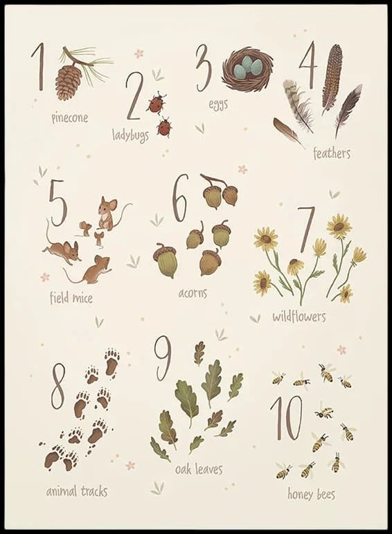 Lámina / poster - Nature numbers