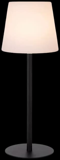 Lámpara de mesa metal negro plástico opal recargable LED 2W - LULS0218