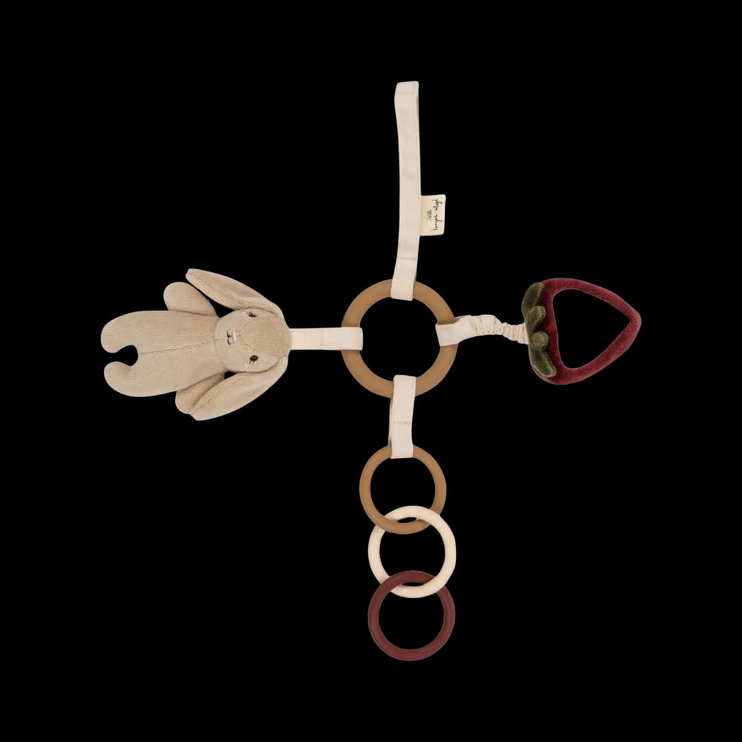 Activity Ring - Bunny