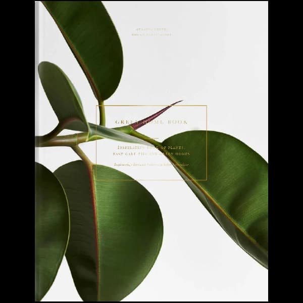 Libro Green Home Book