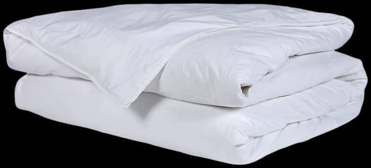 Funda de Plumón Algodón Percal White