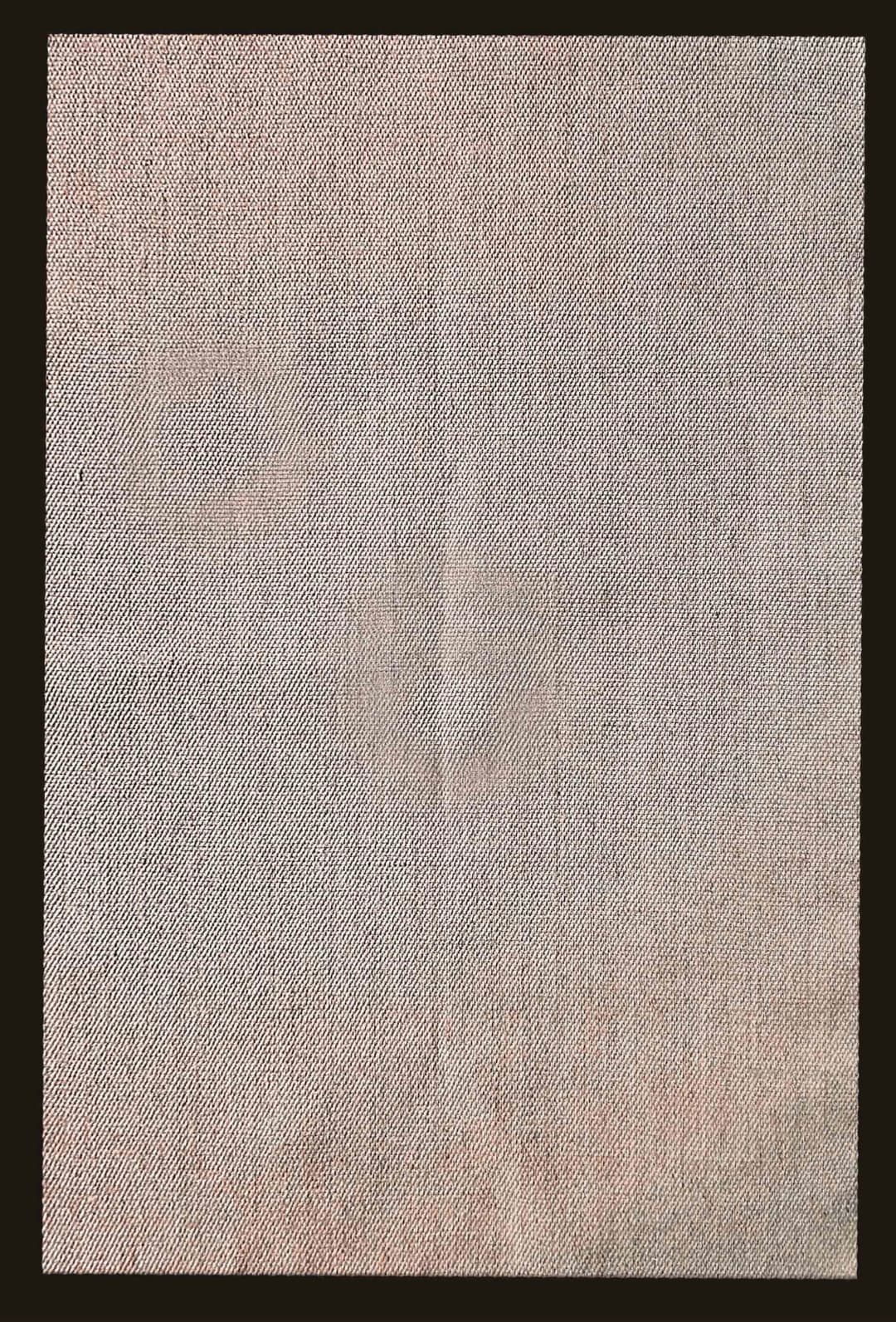 Alfombra Sisal, Amazona con borde 0024 - 2.40 x 1.70