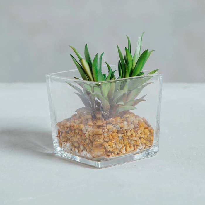 Planta Artificial Base Cemento VI
