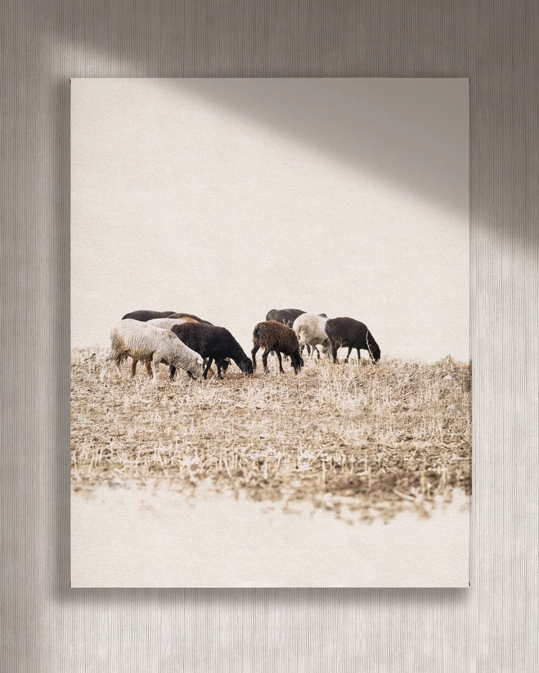Cuadro Ovejas vertical - 70x90 cm / Lona tensada con bastidor