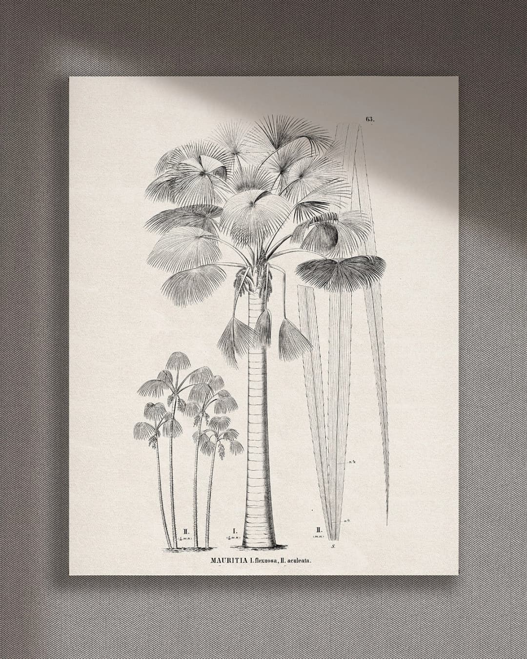 Cuadro Mauritia vertical - 90x110 cm / Lona tensada con bastidor