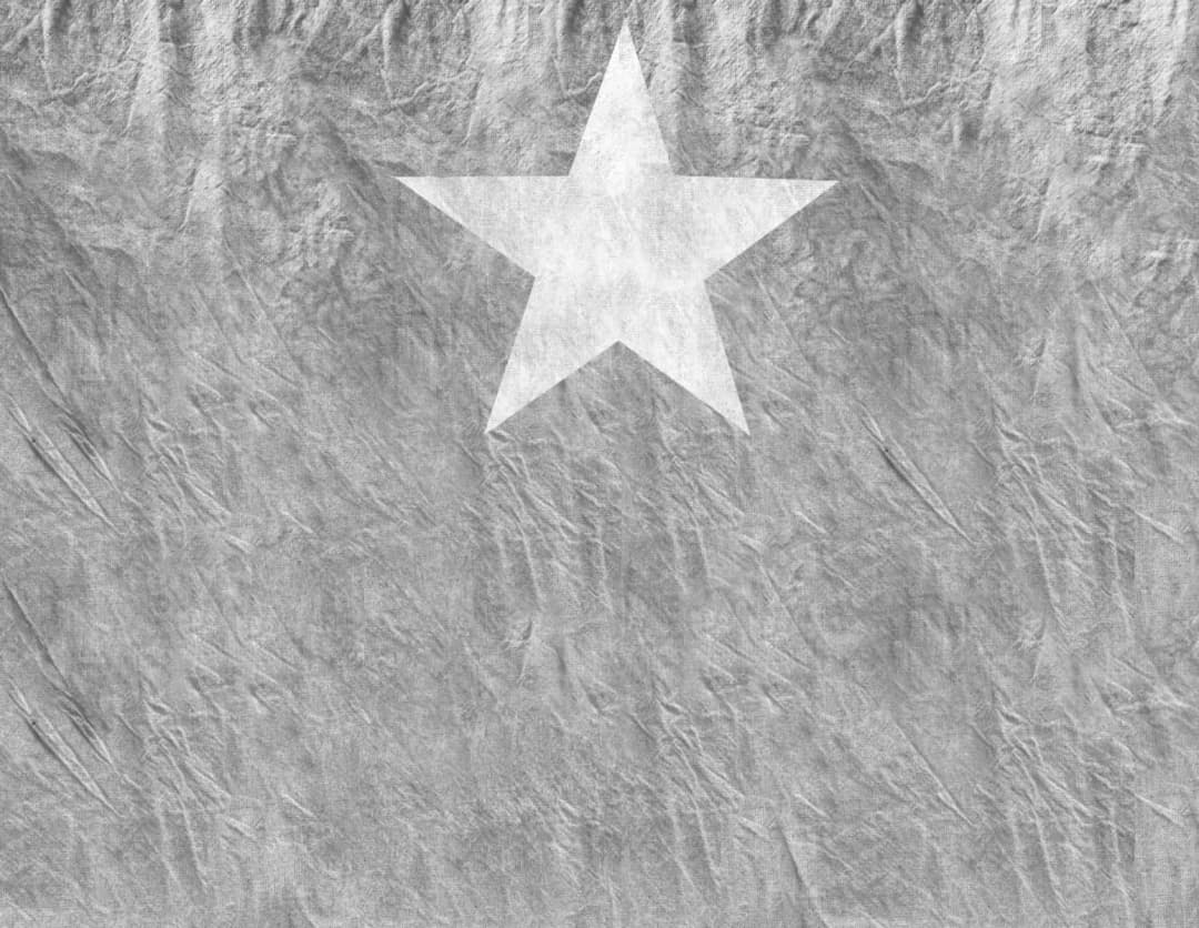 Cargo Gris