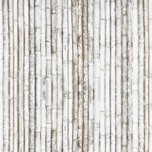 Bamboo