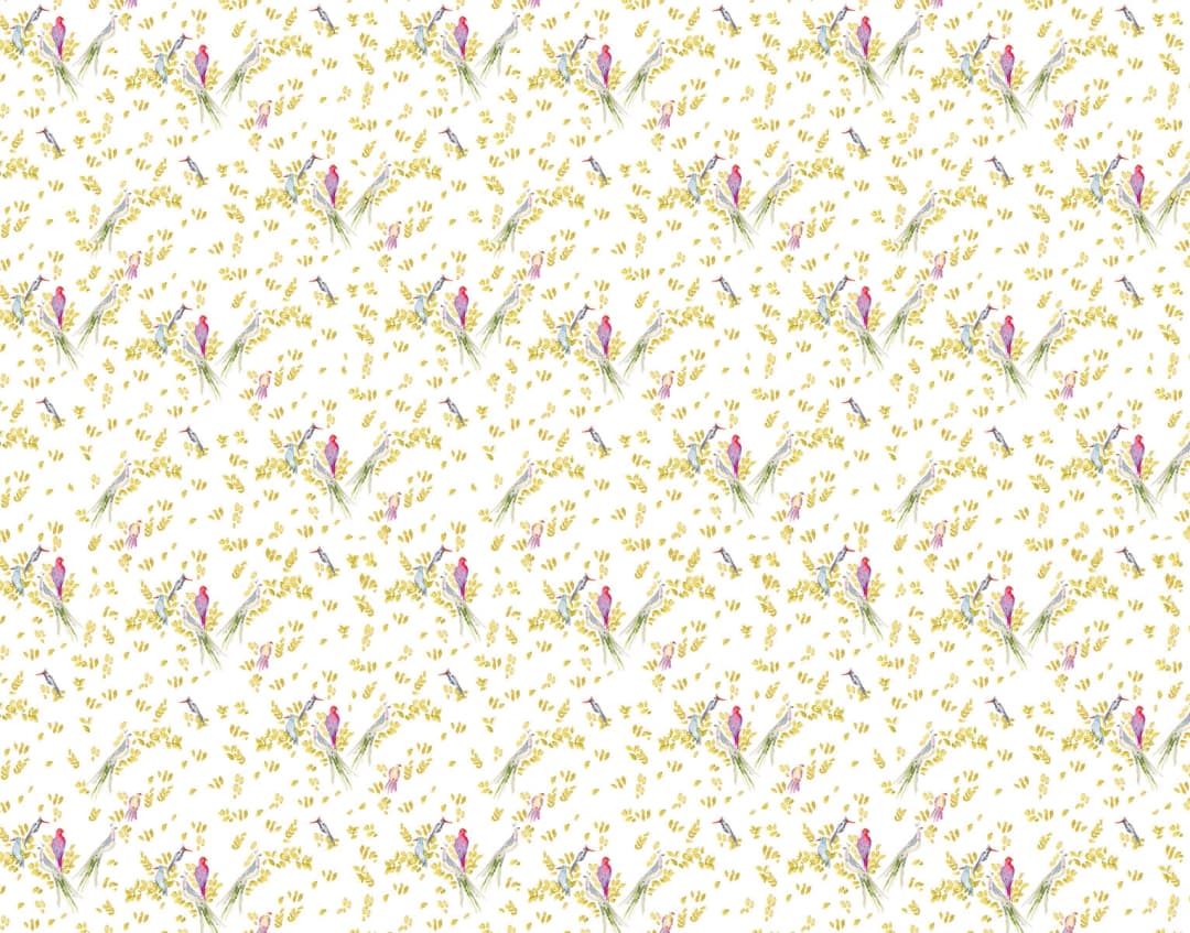 Aves