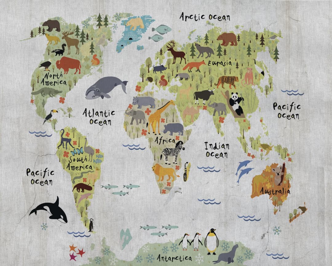 Mapa Naturaleza