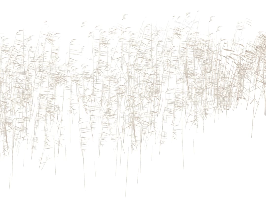 Papel mural Trigo Beige