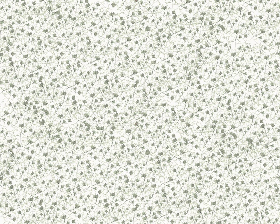 Papel mural Amapolas Verdes (Tere Mujica)