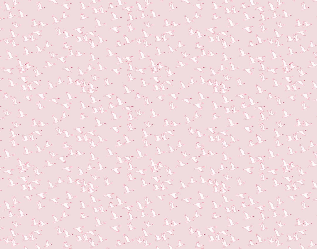 Papel mural Gaviota Rosa