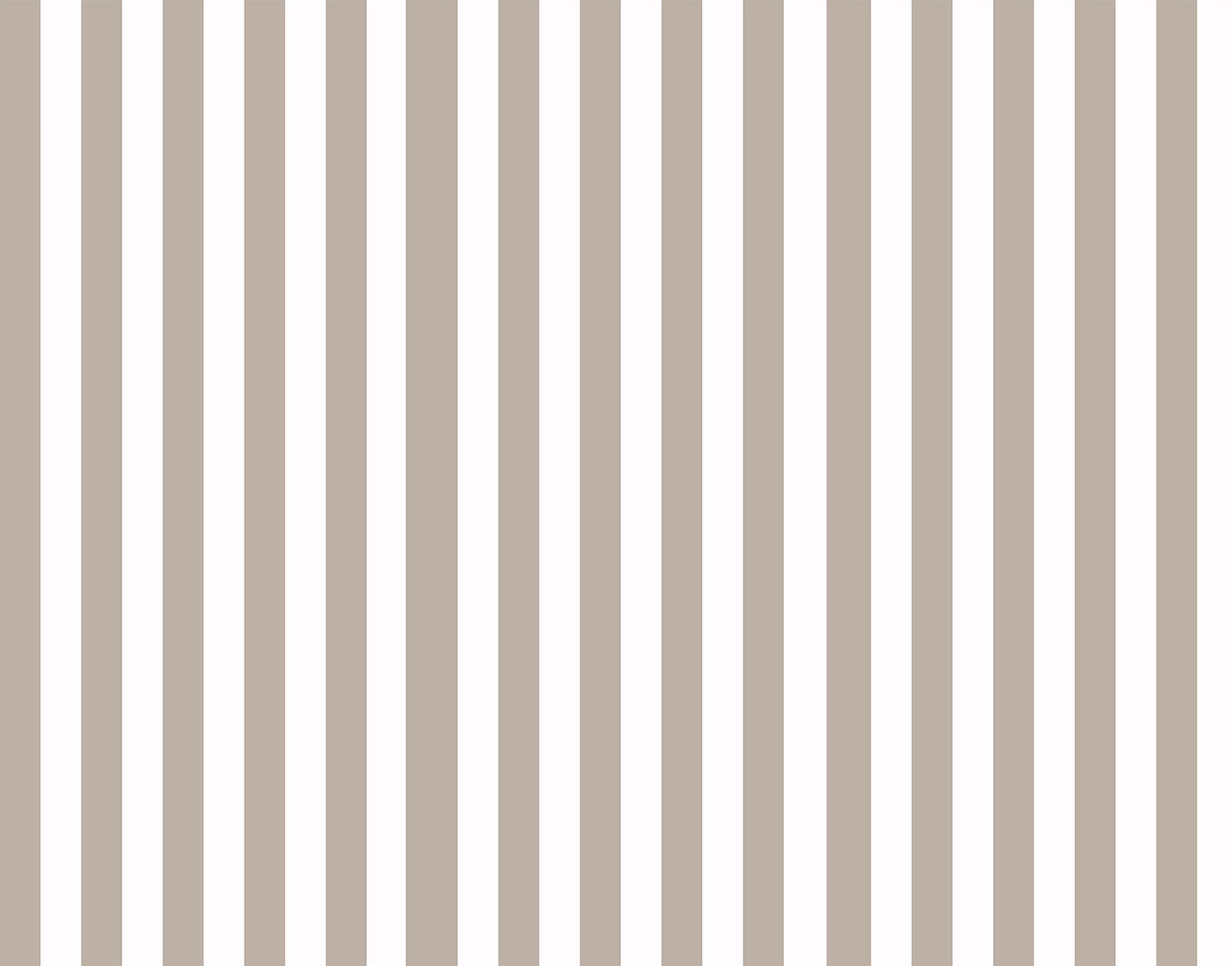 Papel mural Cinta Taupe
