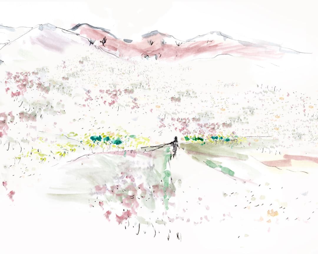 Papel mural Desierto Florido (Cazú Zegers)