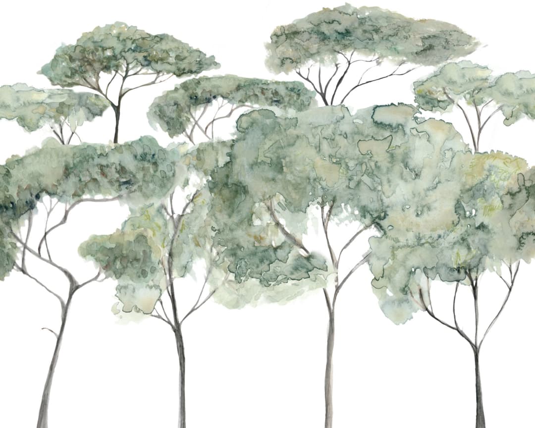 Papel mural Araucaria (Tere Mujica)