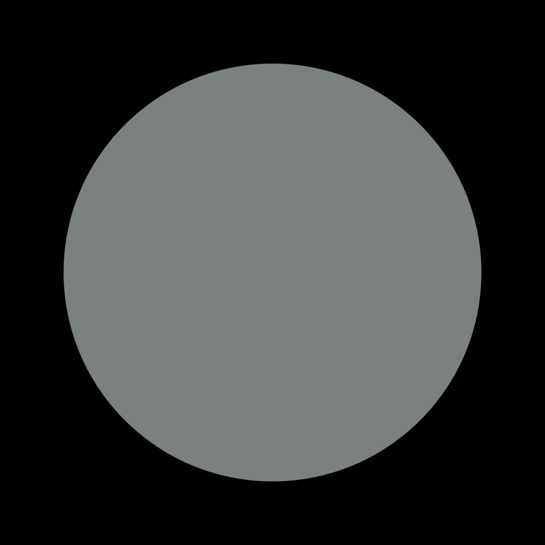 Ceresita Smokebush