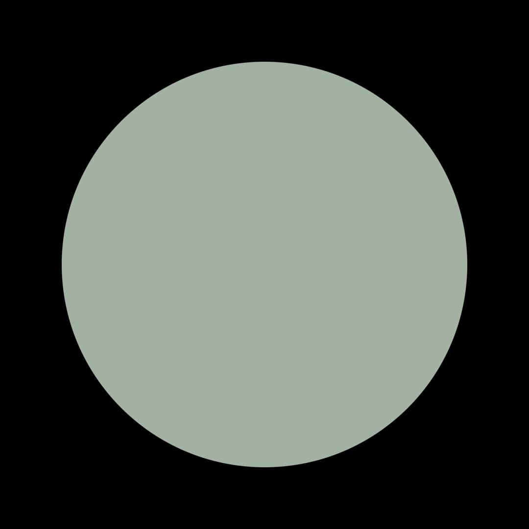 Ceresita Shade Tree