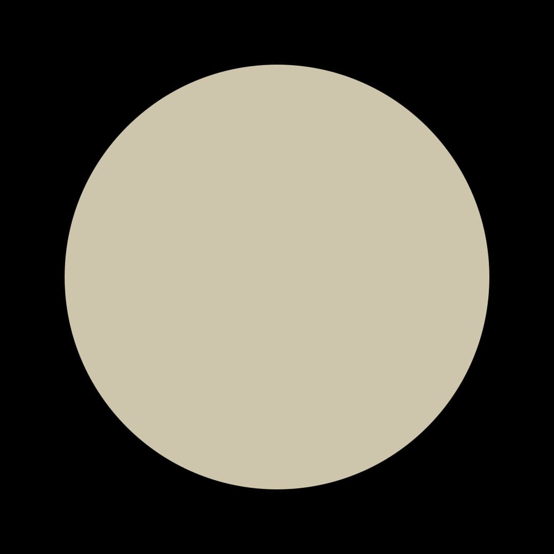Ceresita Saltbush