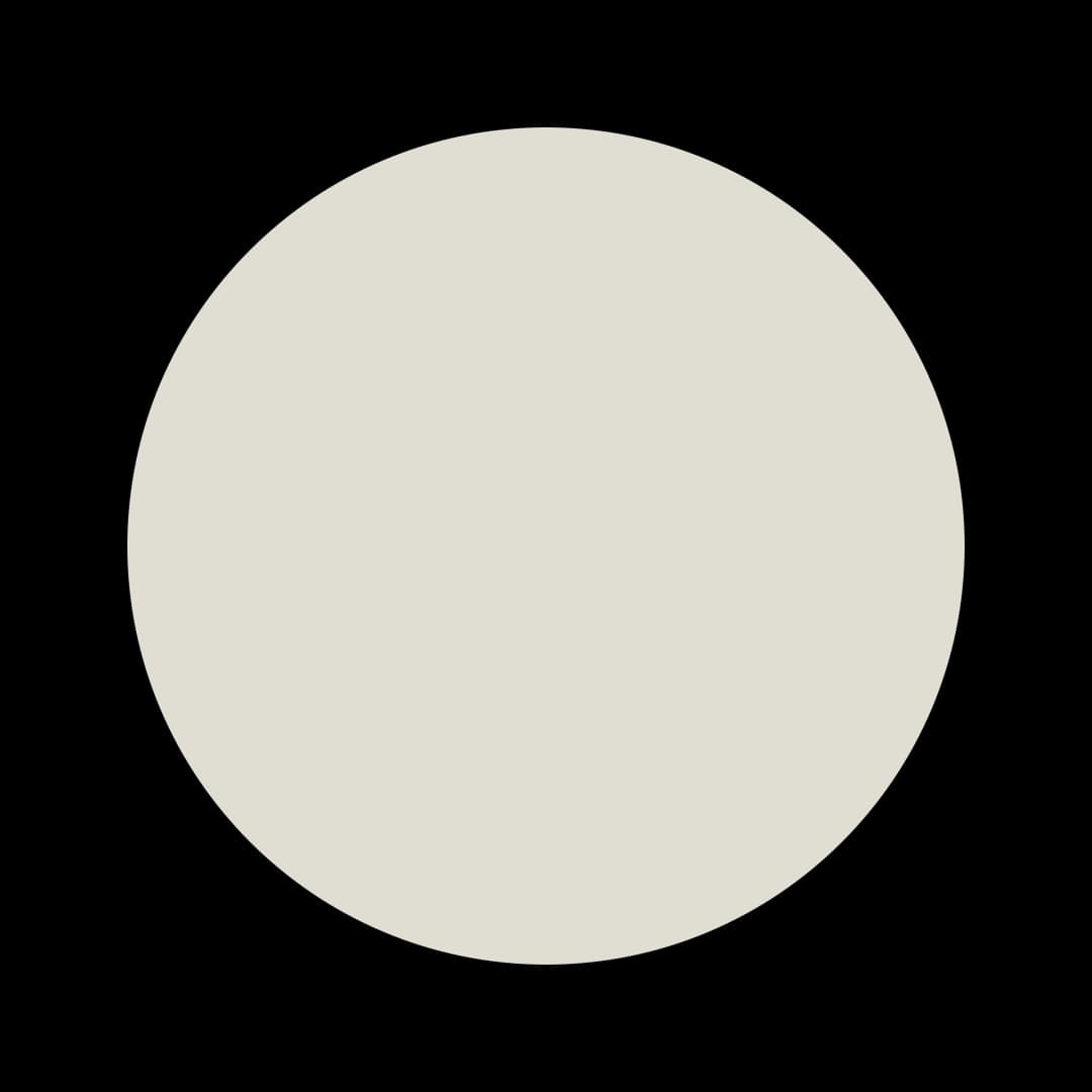 Ceresita Canvasback