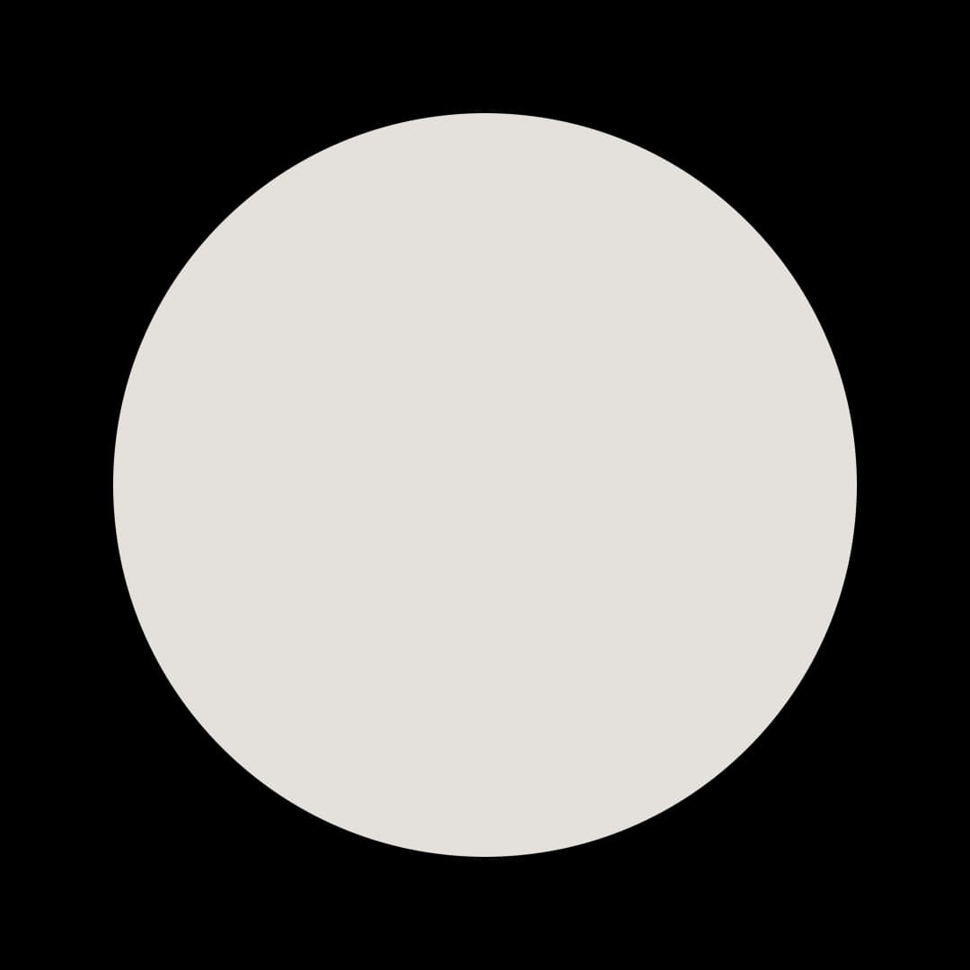 Ceresita Intercoastal Gray