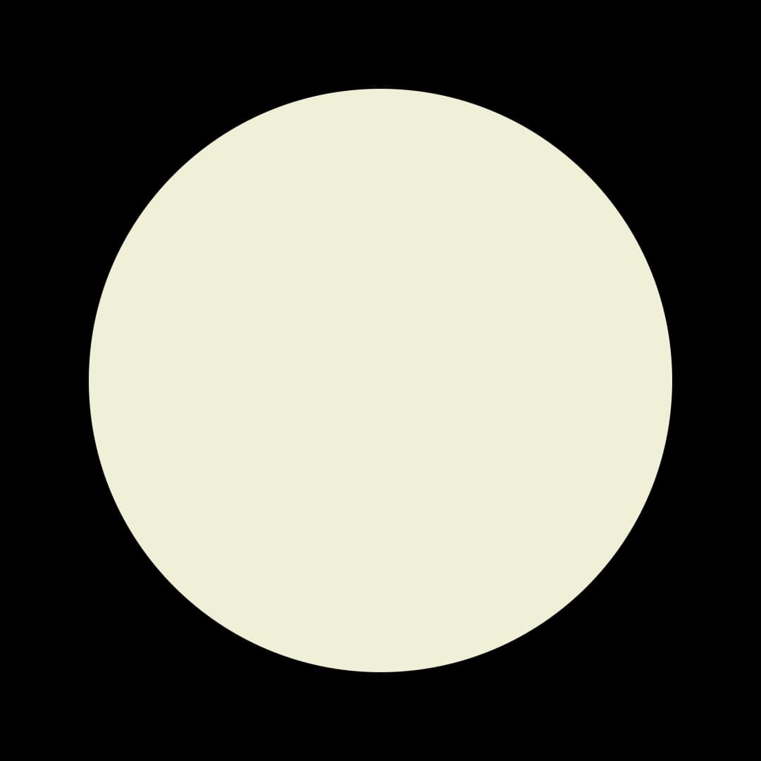 Ceresita Minced Onion