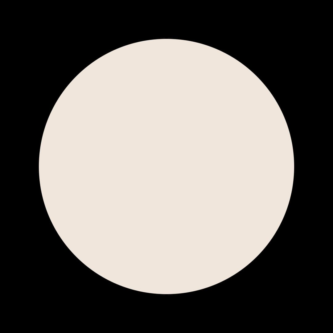 Ceresita Coconut Milk