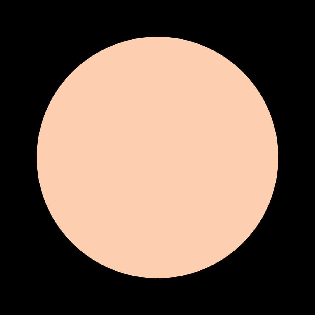 Ceresita Apricot Nectar
