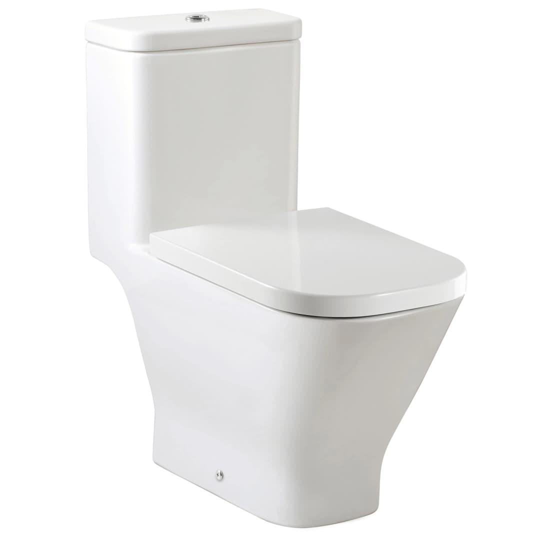 WC One Piece Dual The Gap Rimless 305 mm