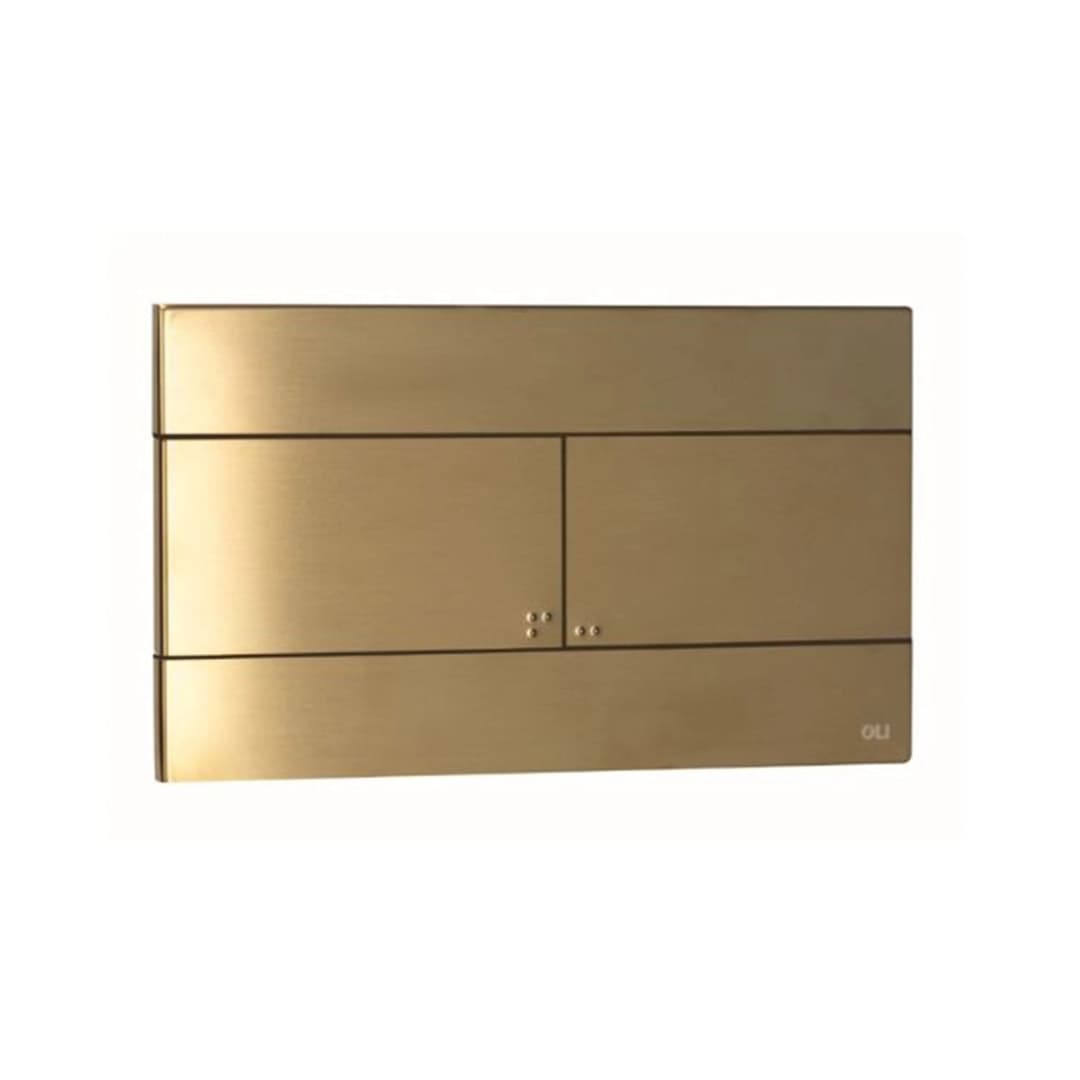 Placa De Accionamiento Doble Slim Inox Oro 255x150x78 mm