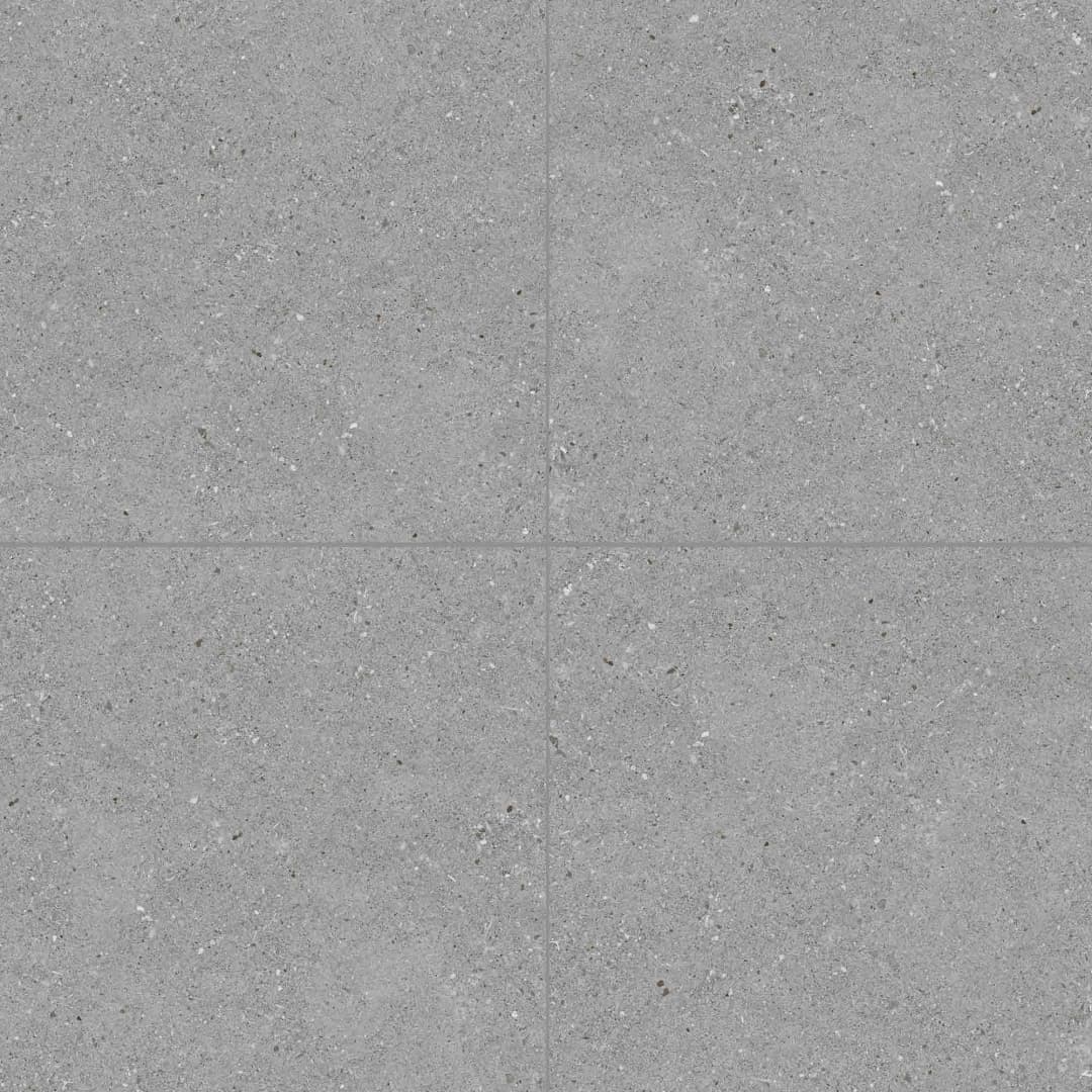 Gres Porcelánico Nasa Gris Mate 60x60 cm