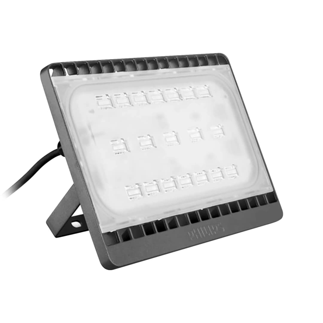 PROYECTOR PHILIPS BVP172 50W LUZ NEUTRA (4000K) IP65 GRIS (911401693207)